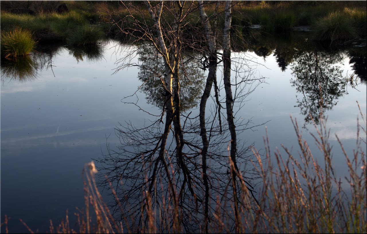 -fagnes-reflets.jpg