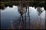 -fagnes-reflets.jpg