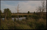 -fagnes-fin-de-journee-006.jpg