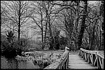 -etang-mouette-n-et-b_modifie-1.jpg