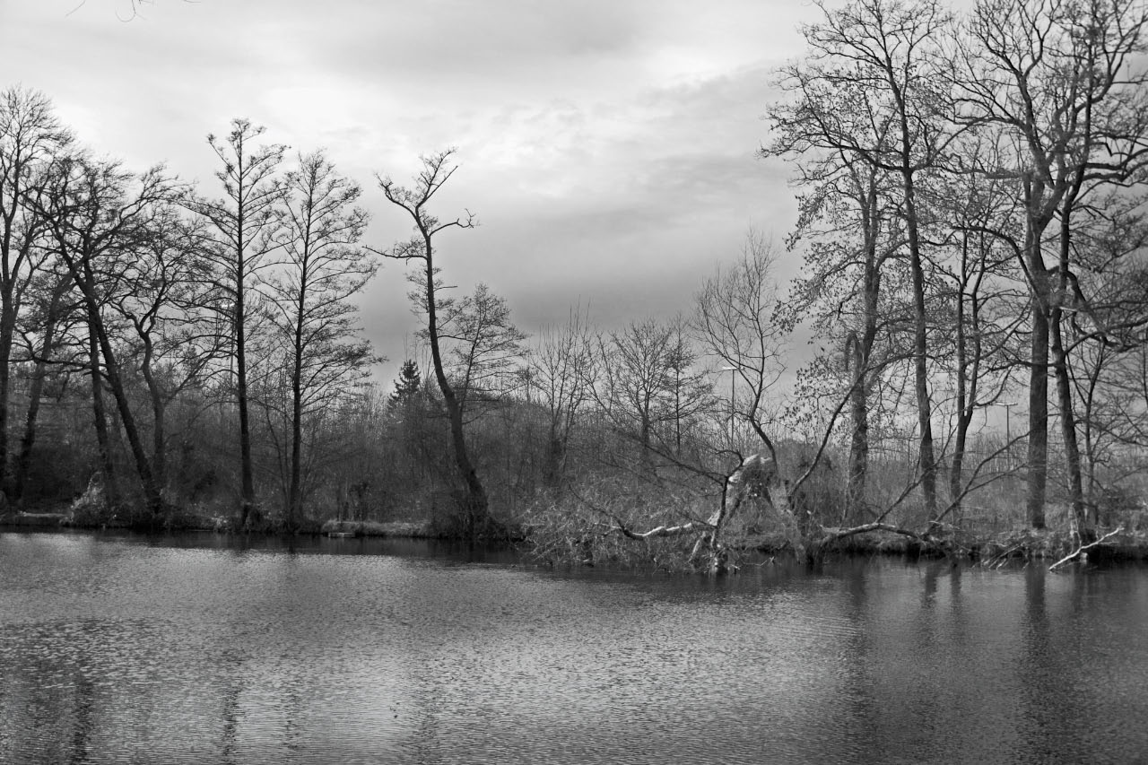 -paysage-seroule.jpg