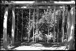 -ombres-noir-et-blanc.jpg
