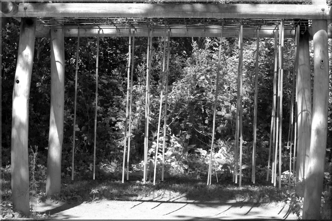 -ombres-noir-et-blanc.jpg