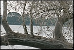 -arbre-contre-jour.jpg