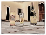 Mon Matos-panorama-sans-titre1.jpg