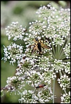 -img_1349-1.jpg