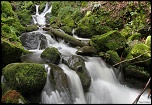 -img_2077-1.jpg