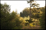 Joyeux anniversaire LCL2000-paysage-hoegne.jpg