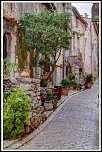 -forum-5.jpg