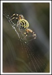 Les 10 derniers post du forum sur votre site-img_6475.jpg
