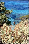 palombaggia nue