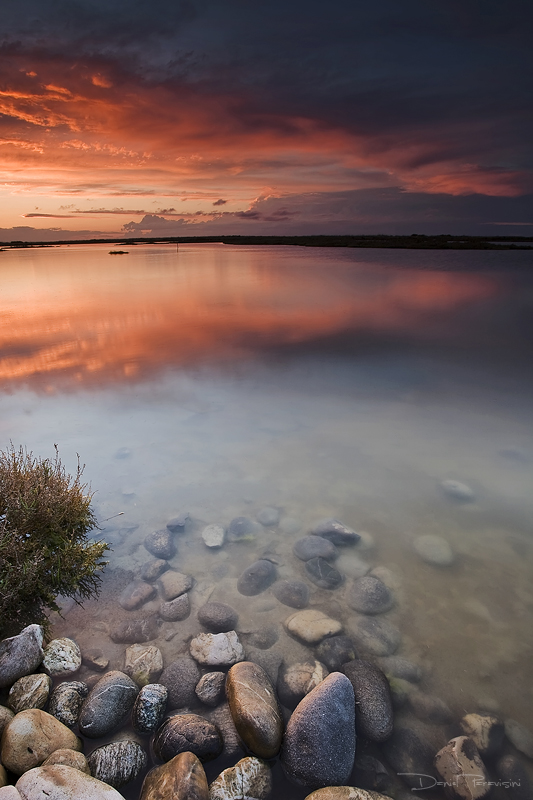 Une de mes images prfre.. la Camargue encore et toujours..