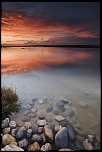 Une de mes images prfre.. la Camargue encore et toujours..
