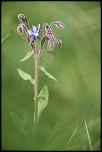 Les 10 derniers post du forum sur votre site-img_6930.jpg