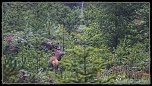 -_mg_0032_dxo4.jpg