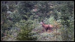 -_mg_0024_dxo2.jpg