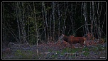 -img_0025base.jpg