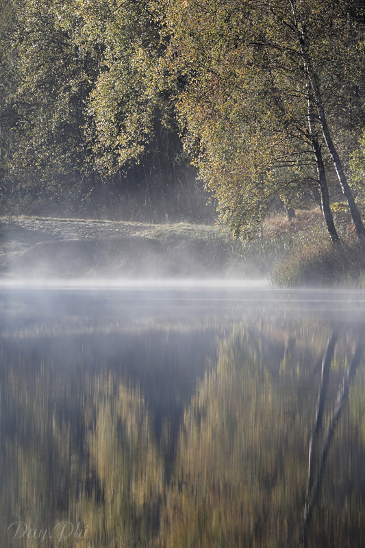 Les 10 derniers post du forum sur votre site-sortie-matinale-etang-quinsac-29-octobre-2014-2b.jpg