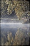Les 10 derniers post du forum sur votre site-sortie-matinale-etang-quinsac-29-octobre-2014-2b.jpg