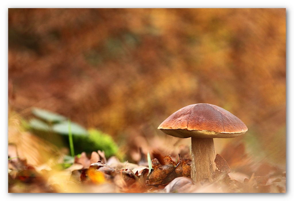 Les 10 derniers post du forum sur votre site-img_7209.jpg