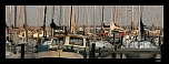 Port de Volendam   Pays Bas