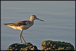 -diii0526_023.jpg