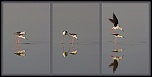 -triptyque-echasse.jpg
