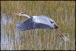 3 IJA3509 2http://www.eos-numerique.com/members/cibin-j/albums/nature-et-divers/43386-a/