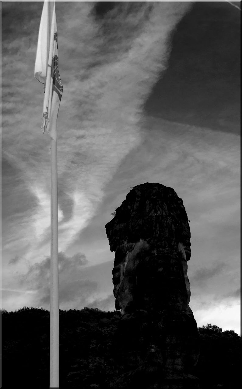 -lion-drapeau-noir-et-blanc_modifie-1.jpg