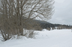 IMG 4545
