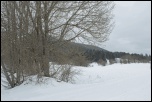 IMG 4545