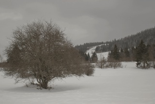 IMG 4548