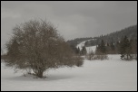 IMG 4548