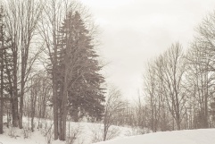 IMG 4586