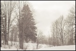 IMG 4586