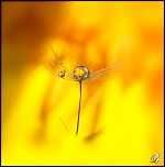 Une semaine en mer-gd0a1264-copie.jpg