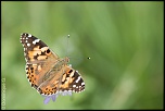 Co-administration-img_0993.jpg