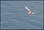 Co-administration-img_2149.jpg
