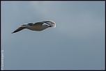 Co-administration-img_4568.jpg