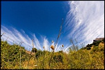-img_1108.jpg