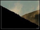 -chamois-ombre.jpg