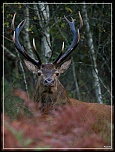 -img_0010-2ter.jpg