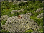 -img_39773.jpg