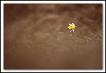 Les 10 derniers post du forum sur votre site-img_7909.jpg