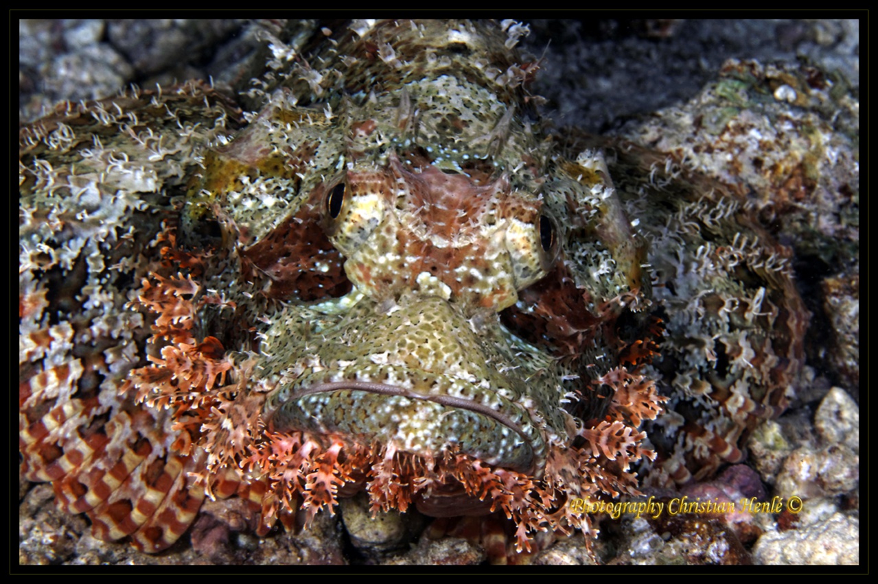 Firmware 7.1 beta-_mg_1046_dxo.jpg