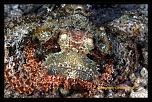 Firmware 7.1 beta-_mg_1046_dxo.jpg