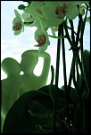 doc firmware-img_0398.jpg