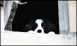 -img_3934.jpg
