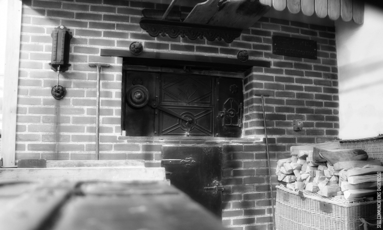 -img_4028.jpg
