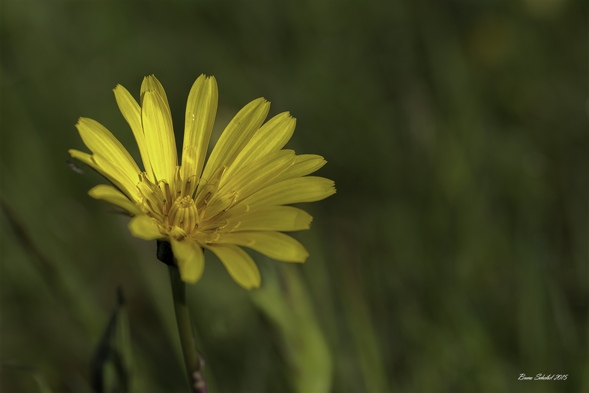 -692a5912-modifier.jpg
